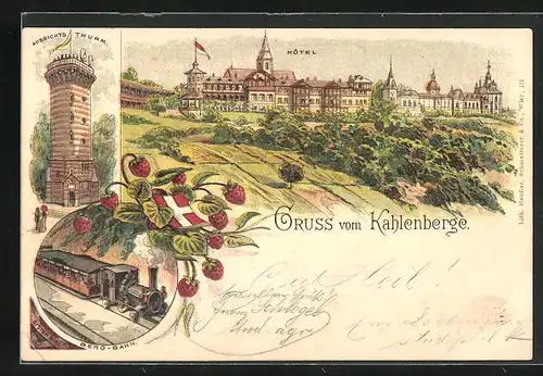 Vorläufer-Lithographie Wien-Döbling, 1895, Hotel auf dem Kahlenberg, Aussichtsturm, Berg-Bahn, Erdbeeren