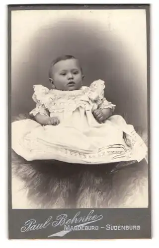 Fotografie Paul Behnke, Magdeburg-Sudenburg, Halberstädterstr. 40, Portrait niedliches Baby im gerüschten Kleidchen