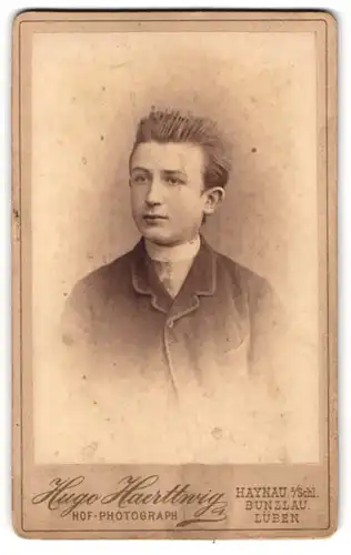 Fotografie Hugo Haerttwig, Haynau i. Schl., Domplatz 50, Portrait charmanter Bube im eleganten Jackett