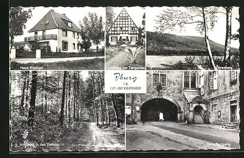AK Iburg, Haus Riediger, Landhaus am Tiergarten, Dörenberg, Schlossaufgang