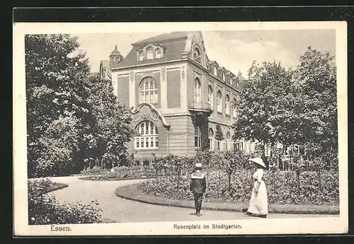 AK Essen, Rosenplatz im Stadtgarten