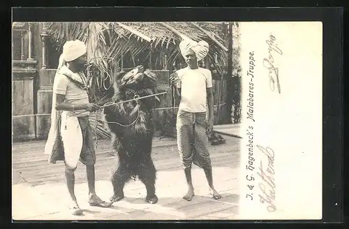 AK Hagenbeck's Malabares Truppe mit einem Tanzbären