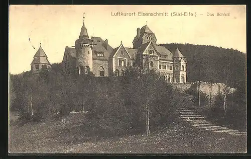 AK Eisenschmitt / Südeifel, Blick zum Schloss