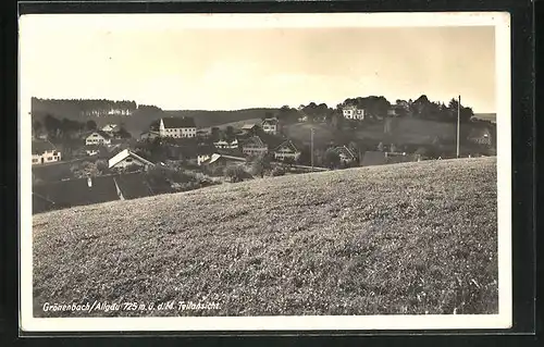AK Grönenbach / Allgäu, Panoramablick von der Bergwiese