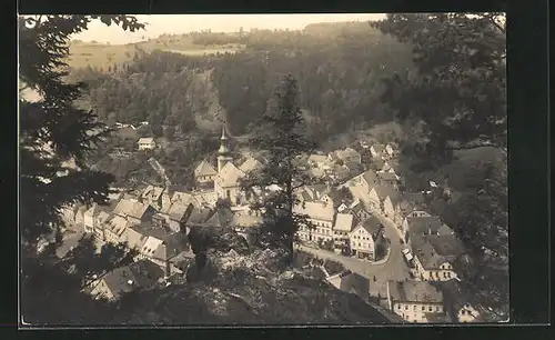 AK Berneck / Fichtelgebirge, Totale vom Berg gesehen