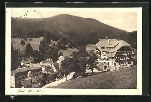 AK Bad Rippoldsau, Panoramablick von der Bergwiese