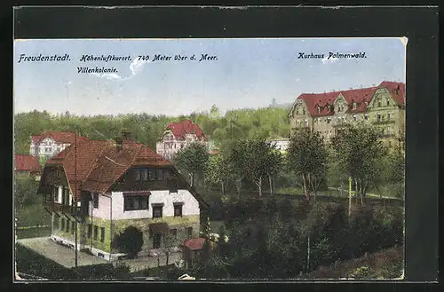 AK Freudenstadt, Villenkolonie mit Kurhaus Palmenwald