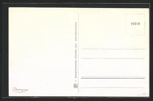 AK Bad Sulza / Thür., Schwanenteich mit Leuchtfontäne, Inhalatorium, Kurhotel, Birkenallee