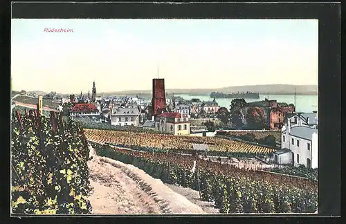 AK Rüdesheim, Ortsansicht mit Weinbergen, Rheinpartie