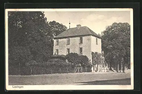 AK Lauingen, Strassenpartie mit grossem Haus