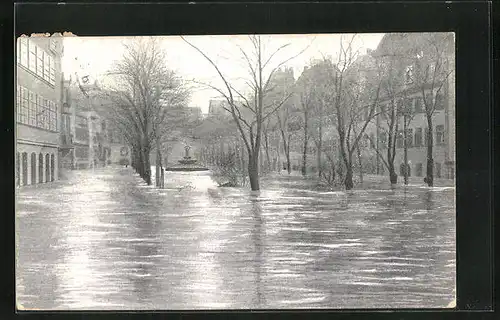 AK Nürnberg, Hochwasser-Katastrophe 5. Februar 1909, Maxplatz