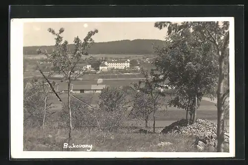 AK Bukovany, Gesamtansicht