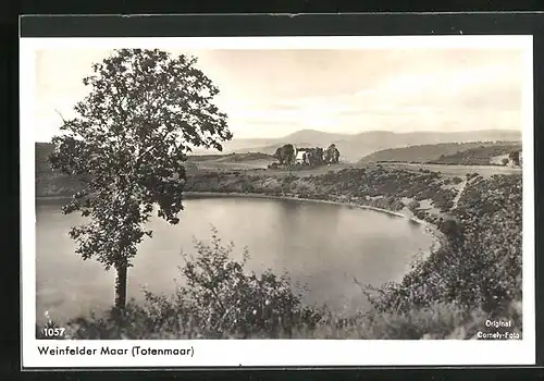 AK Weinfelder Maar / Totenmaar, Totalansicht