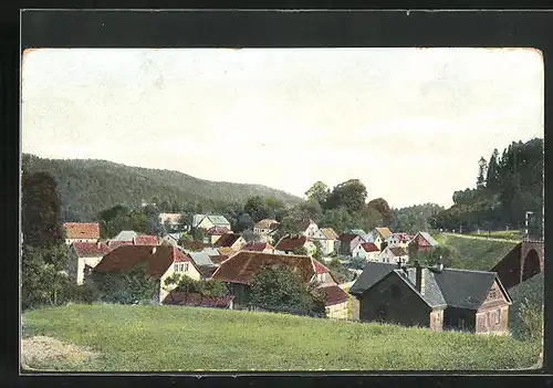 AK Paulinzella, Totalansicht der Gemeinde