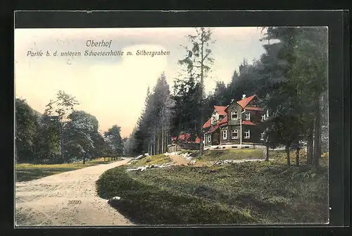 AK Oberhof /Thür., Partie b. d. unteren Schutzhütte mit Silbergraben