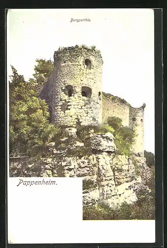 AK Pappenheim, Burgpartie