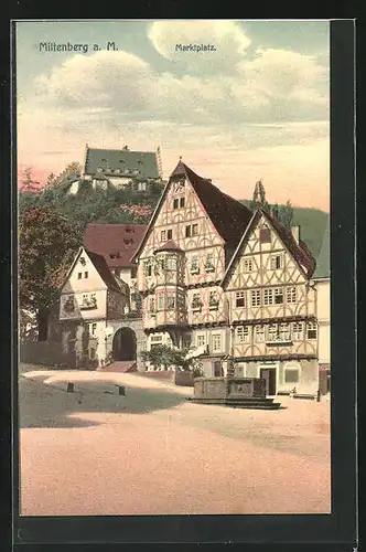 AK Miltenberg a. M., Brunnen auf dem Marktplatz