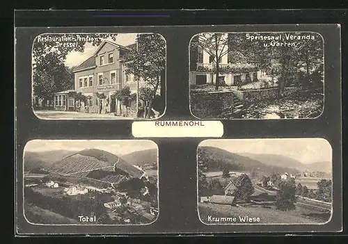 AK Rummenohl, Restaurant-Pension Dressel, Speisesaal, Veranda u. Garten, Krumme Wiese