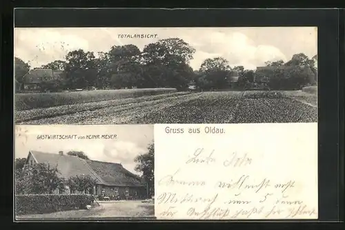 AK Oldau, Gasthaus von Heinr. Meyer, Totalansicht