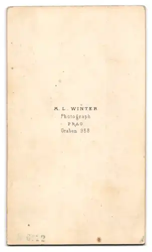 Fotografie M. L. Winter, Prag, Graben 988, Portrait Herr im Anzug mit Vollbart im Seitenprofil, 1863