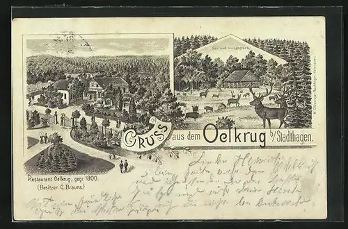 Lithographie Stadthagen, Restaurant Oelkrug, Sau und Hirschpark