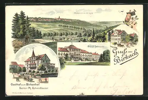 Lithographie Birkach, Hotel zum Birkenhof, Totalansicht, Schloss Hohenstein