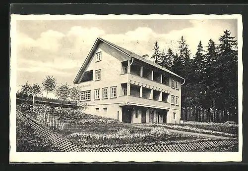 AK Hahnenklee /Oberharz, Hotel-Pension Im Waldwinkel
