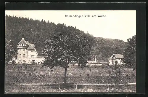 AK Immendingen, Villa am Walde