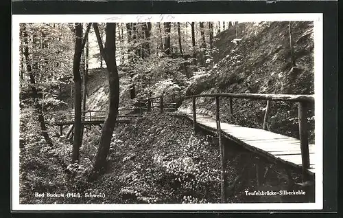 AK Bad Buckow, Teufelsbrücke-Silberkehle