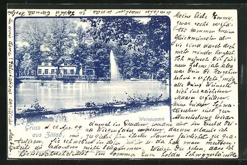 AK Zittau, Weinaupark mit Fontäne