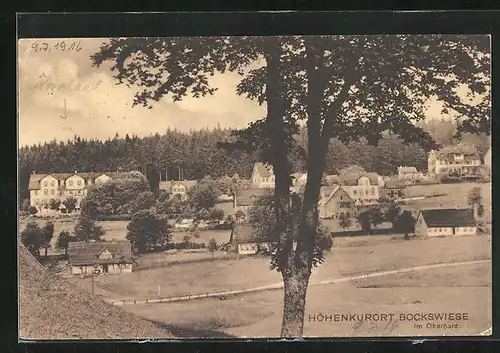 AK Bockswiese /Oberharz, Teilansicht mit Wohnhäusern