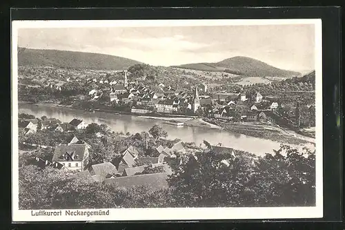 AK Neckargemünd, Totalansicht mit Fluss und Kirchen