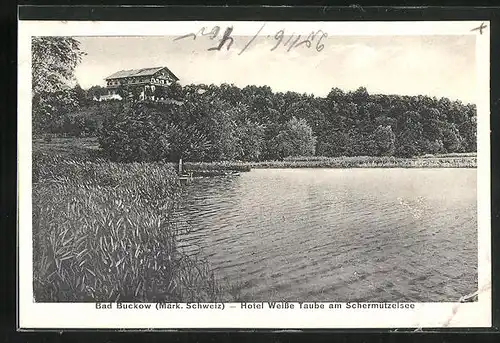 AK Bad Buckow, Hotel Weisse Taube am Schermützelsee