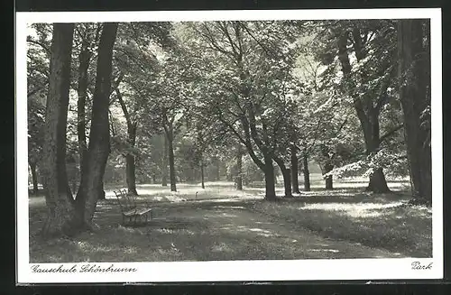 AK Wien, Gauschule Schönbrunn, Parkpartie