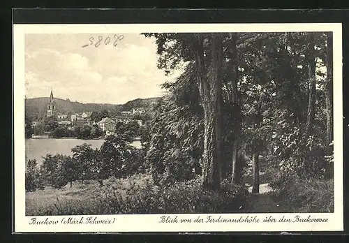 AK Buckow /Märk. Schweiz, Blick von der Ferdinandshöhe über den Buckowsee