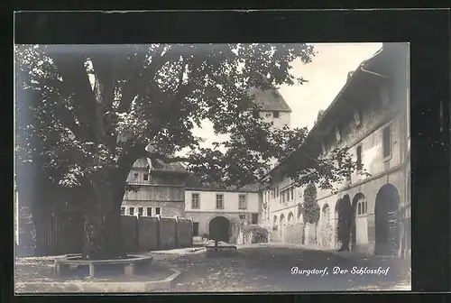 AK Burgdorf, Der Schlosshof mit Baum