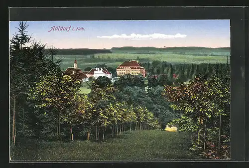 AK Adldorf i. Ndb., Häuser und Kirchturm hinter Bäumen