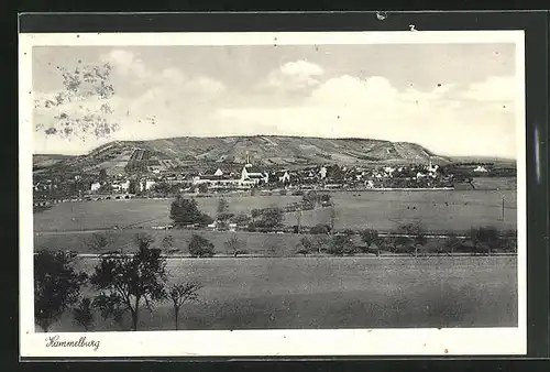 AK Hammelburg, Fernblick auf den Ort