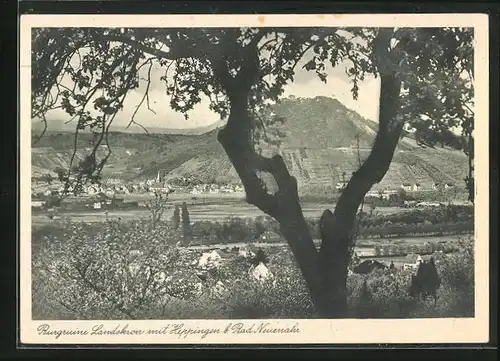 AK Heppingen, Ortsansicht mit Burgruine Landskron