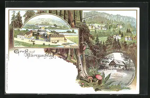 Lithographie Mürzzuschlag, Hotel Lambach, Curhaus, Steinhauer