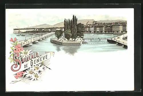 Lithographie Genéve, Flusspartie mit Dampfern und Aussichtsinsel