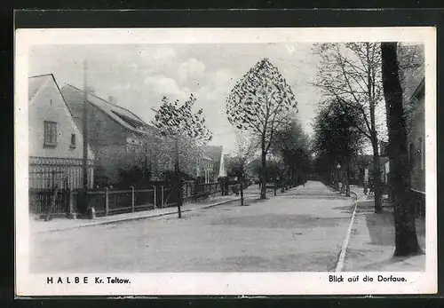 AK Halbe /Kr. Teltow, Strassenpartie an der Dorfaue