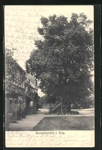 AK Hartmannmühle i. Erzg., Ortspartie mit Baum