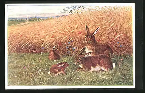 Künstler-AK Fr. Rösler: Hasen auf dem Feld