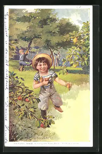 Künstler-AK H. Schubert: Junge beim Birnenpflücken