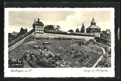 AK Esslingen a. N., Burg m. Wehrgang