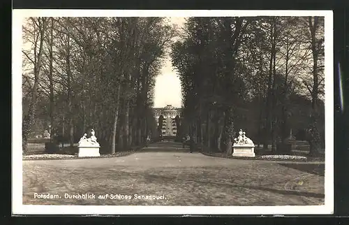 AK Potsdam, Durchblick auf Schloss Sanssouci