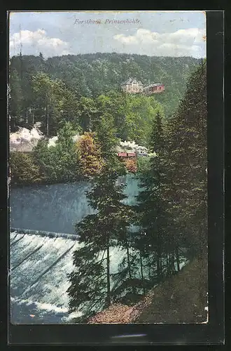 AK Hartenstein, Forsthaus Prinzenhöhle, Dampfeisenbahn