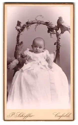 Fotografie P. Schiffer, Crefeld, Neue Linnerstrasse 74, niedliches Baby im Taufkleid, ausgestopfte Tauben