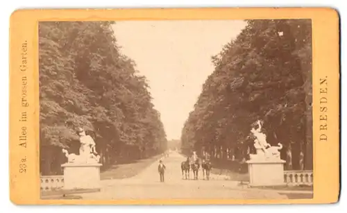 Fotografie Otto Schmidt, Dresden, Ansicht Dresden, Allee im grossen Garten um 1879